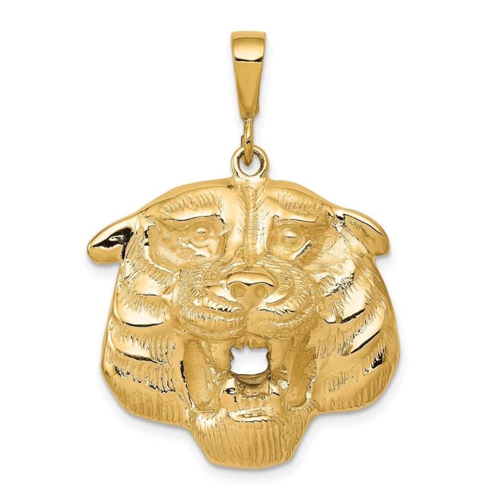 10k Yellow Gold Solid Polished Tiger Head Charm - image 5
